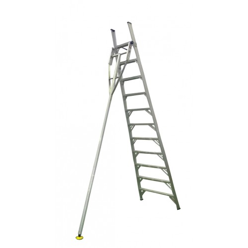 Orchard Ladders